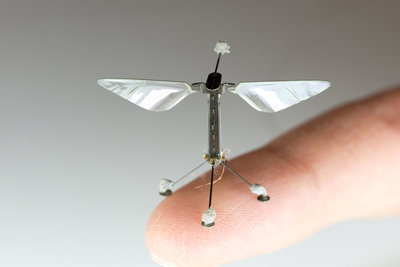 Photo of a Robobee courtesy Kevin Ma and Pakpong Chirarattananon